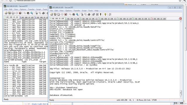 04.02-10_Oracle_10gR2_RACDG_4.2 Step10 Start mount the RAC Physical Standby(20120113).flv смотреть онлайн