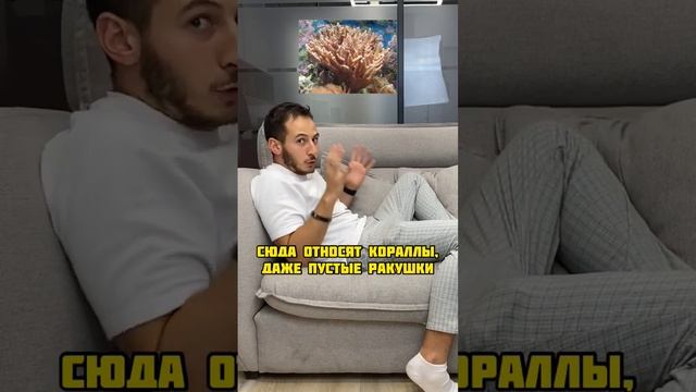Три вещи, которые нельзя вывозить из Египта. #египет #путешествия #отдых смотреть онлайн