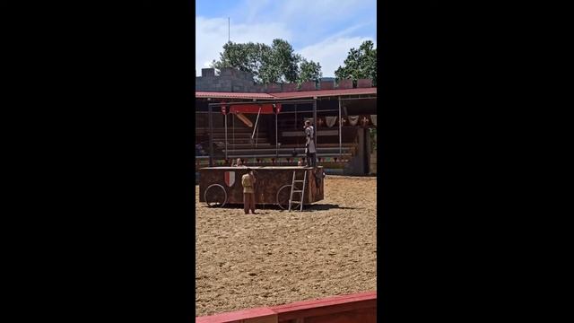 Замок "Львиная голова" смотреть онлайн