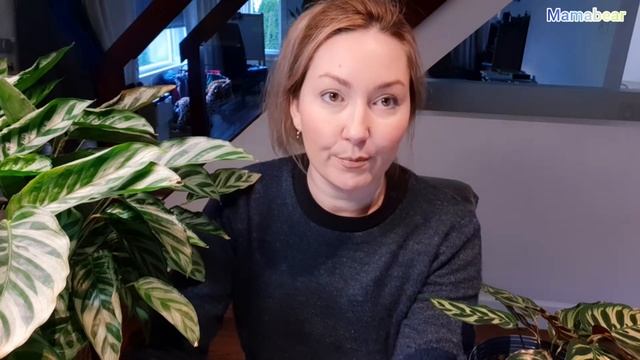 ?Как КУПИТЬ Черепаху? Черепаха не ест , что делать? ? Ответы на Вопросы? смотреть онлайн