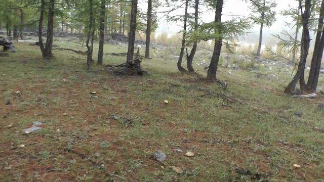 Саяны 2023, окинское плато, исток Оки Саянской. смотреть онлайн