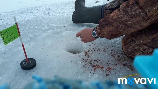Очень интересная Рыбалка на Самаркандском водохранилище 05.03.2020г смотреть онлайн