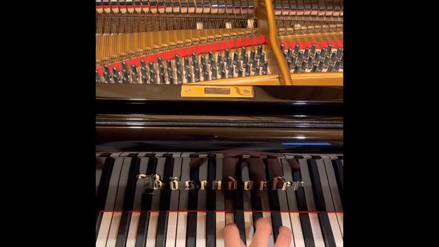 Testing Bosendorfer 200 смотреть онлайн