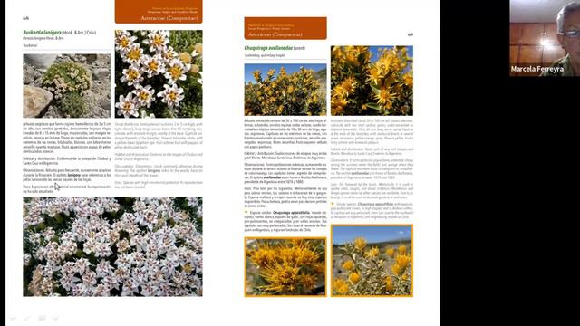 #64 Plantas De La Patagonia Extra Andina, Estepa Patagónica Y Monte Austral