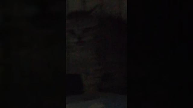 Новенькие дикаряшки смотреть онлайн