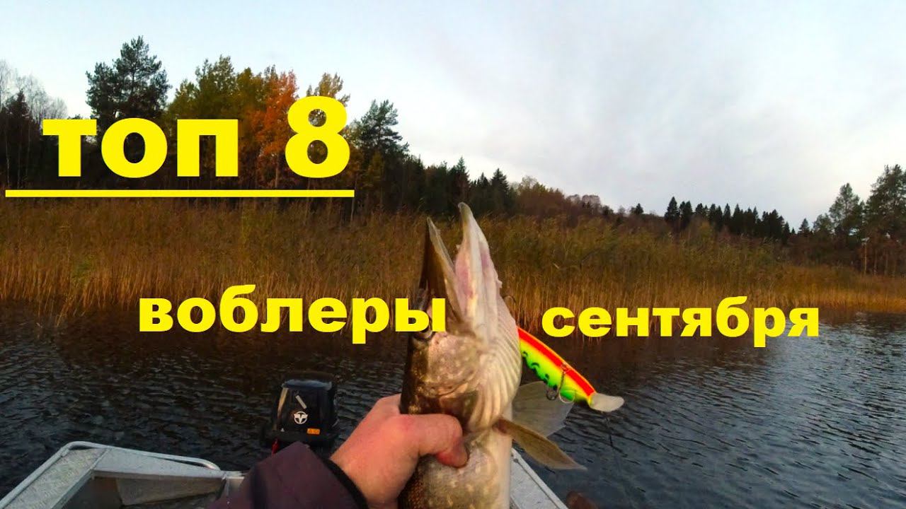 Топ 8 лучших воблеров сентября по твичингу щуки смотреть онлайн