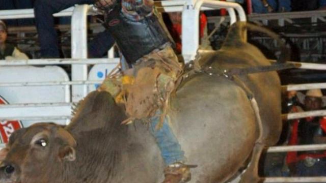 By Nelinho Exposete 2009 смотреть онлайн