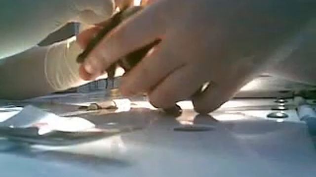 Tail docking. Ампутация (купировка) хвоста смотреть онлайн