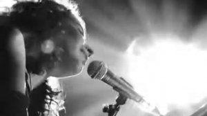 Alina Orlova   Голуби