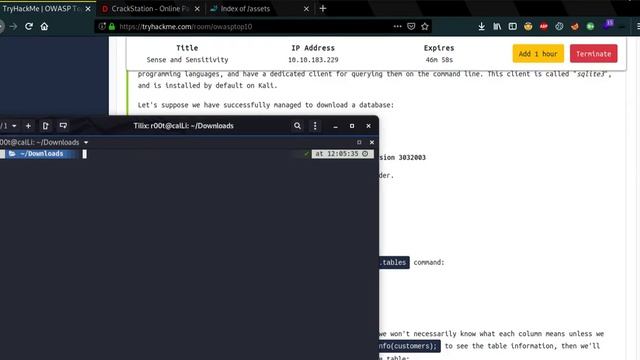Sensitive Data Exposure смотреть онлайн