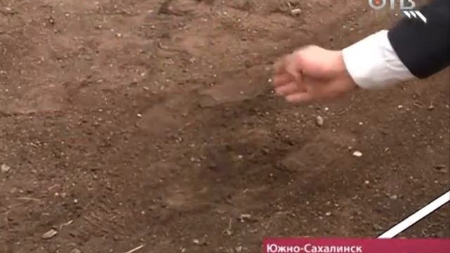 Арм-рестлинг в колонии в Южно-Сахалинске. Соревнования по арм-рестлингу в колонии смотреть онлайн