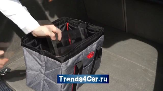 Саквояж-органайзер в багажник автомобиля Дампин 27 New Style смотреть онлайн