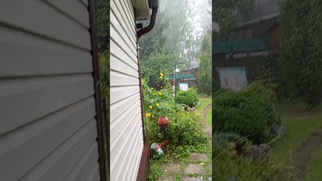 1000000897.mp4 смотреть онлайн