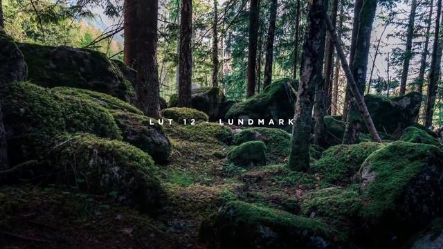 15 Cinematic LUTs For FREE (Final Cut Pro X, Adobe Premiere Pro CC etc.) смотреть онлайн