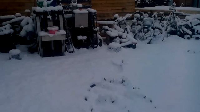 Снова снег! | Новосибирск 2 мая 2017г смотреть онлайн