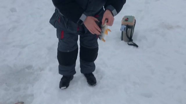 Рыбалка Томская область март 2019 смотреть онлайн