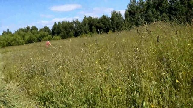 Сенокос ни когда не закончится. Косим новые участки мотоблоком. Перекус шашлыком смотреть онлайн