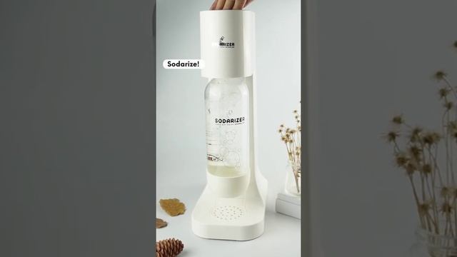 Fizzy Mango Yogurt! : DIY AT HOME SODA! By Sodarizer смотреть онлайн