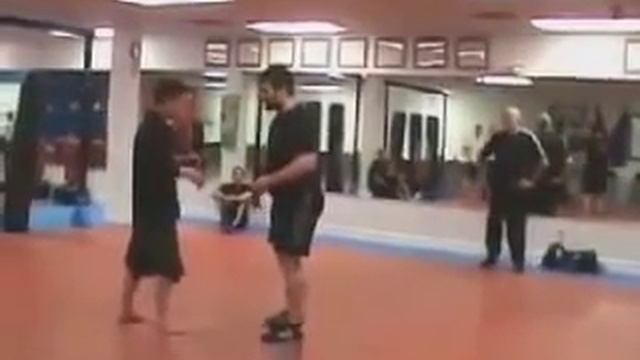 формы тайцзи и толкающие руки смотреть онлайн