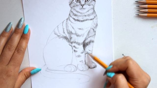 КАК НАУЧИТЬСЯ РИСОВАТЬ КОТА? | Урок Рисования смотреть онлайн