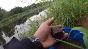 Рыбалка на Луге на старом, но не забытом месте