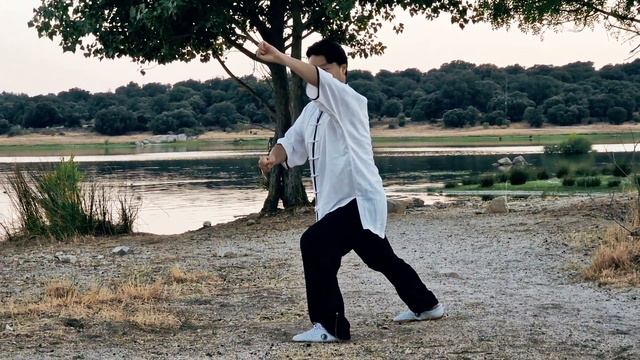 Chikung dinámico, fang song, Que Sistema elegir para conseguir fluir? Chikungtaichi Xioda Liu. смотреть онлайн