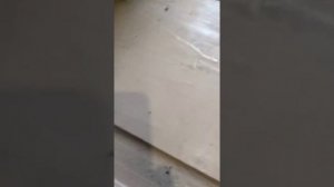 Замена внутринего шруса на л200 .2007г