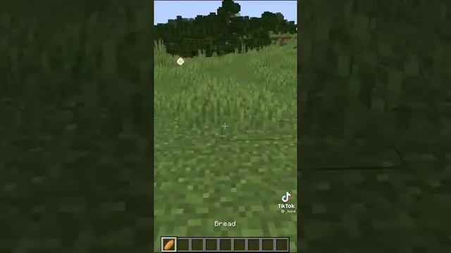 РЕАЛИСТИЧНЫЙ ХЛЕБ В МАЙНКРАФТЕ