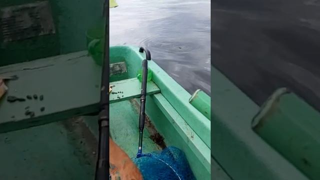 Рыбалка на щуку в Боровом(Казахстан) смотреть онлайн