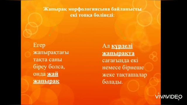 Агадиева М.С. Ботаника. Лекция №10 смотреть онлайн