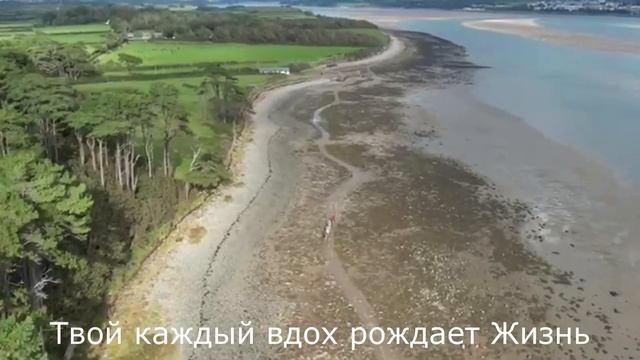 Земля моя смотреть онлайн