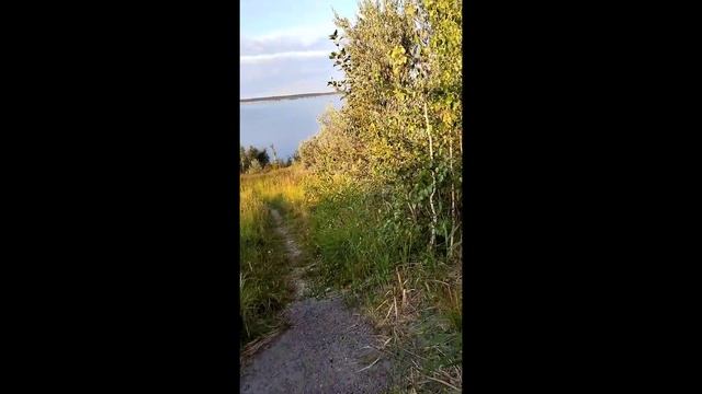 Краткий обзор POCO C40 смотреть онлайн