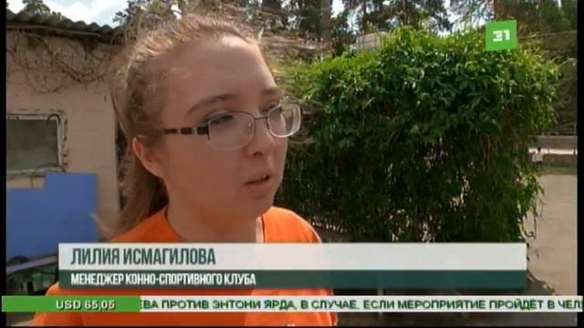 Челябинских детей от стрессов и фобий лечат рысаки и тяжеловозы смотреть онлайн