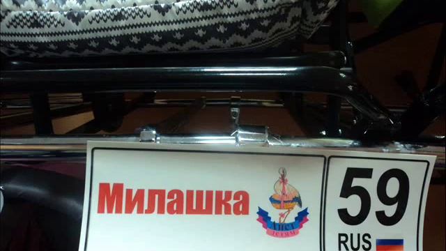 Санки коляска Кристи Люкс Прениум в магазине АИСТ смотреть онлайн