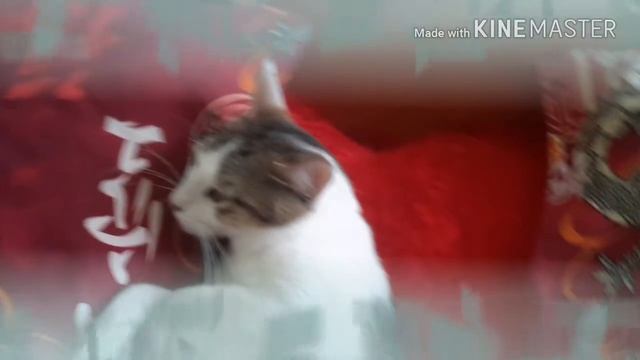 Мои стихи твоя гитара смотреть онлайн