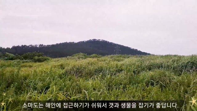 소마도를 소개합니다 #섬 #진도 #조도 #soma island смотреть онлайн