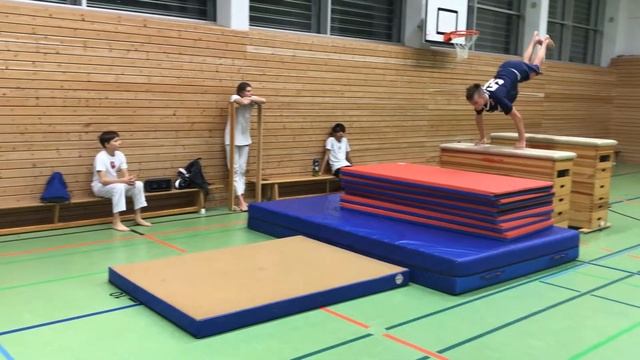 Capoeira Akrobatik Dresden 13.03.2019 смотреть онлайн