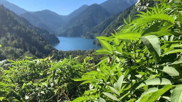 УЧИСЬ И ОТДЫХАЙ СО МНОЙ: влог с нотками лета ♡ Бумажная переписка смотреть онлайн