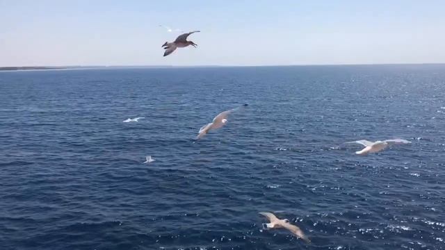 Tango to evora смотреть онлайн