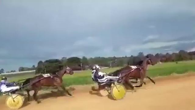 18º Páreo : 1º JJ KW Camelia 2"07"23 / 2ºDos Spy Liberty 2"07"78 смотреть онлайн
