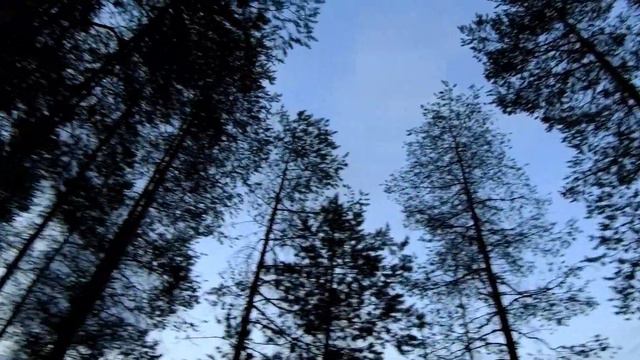 Чирка-Кемь 3 смотреть онлайн