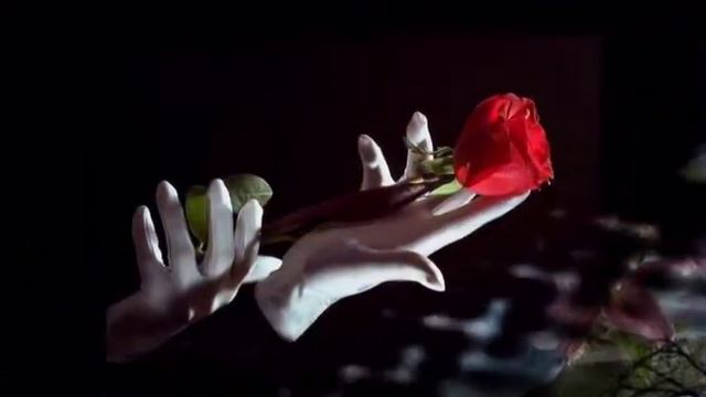 Белая птица смотреть онлайн