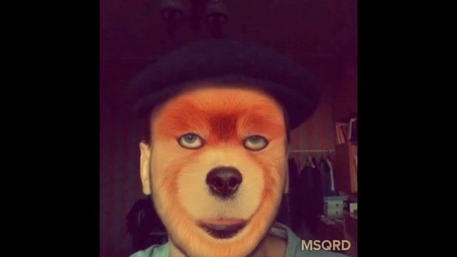 Заяц и волк смотреть онлайн