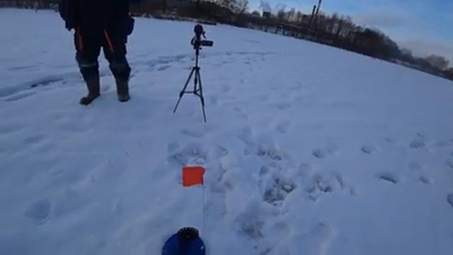 Щука на жерлицу 2020 смотреть онлайн