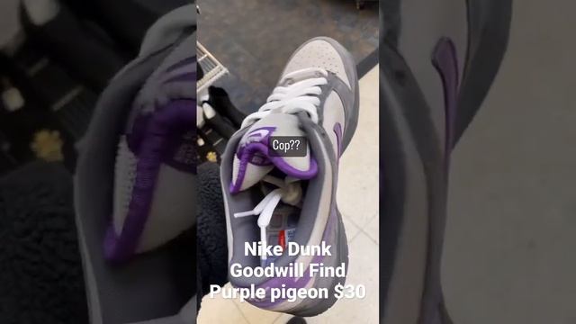 I Found Nike SB Dunk low purple pigeon at GOODWILL for $30. смотреть онлайн
