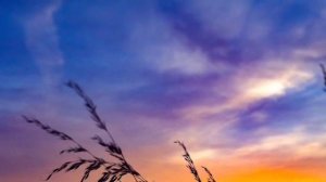 Г. Сытин Настрой Нервно-мышечная система (женский вариант) Без музыки