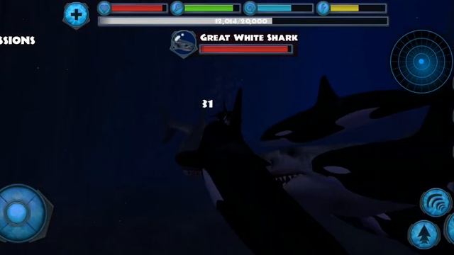 i played orca simulator again but i had rainbow смотреть онлайн