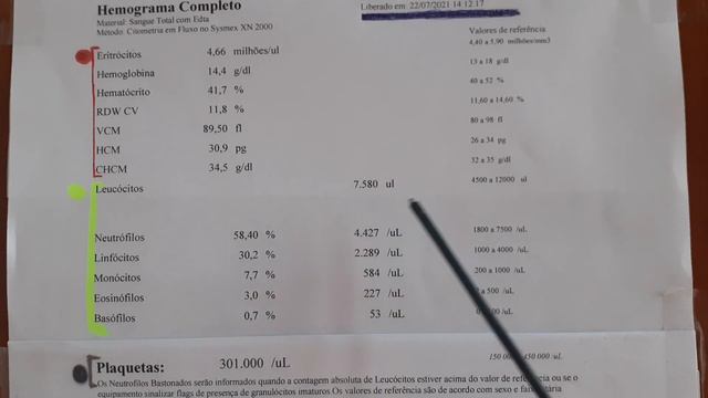 Hemograma completo смотреть онлайн