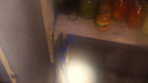 Наземный погреб, 2 года эксплуатации. Плюсы и минусы поверхостного хранилища овощей.