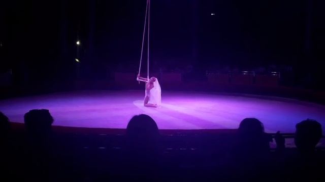 влог приехали с дачи ,купаю собаку,неожиданно пригласили в цирк смотреть онлайн